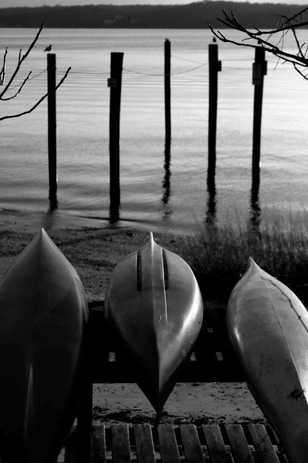2009 11 18 IMG 2778ebw